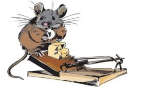 Мышь и мышеловка: актуальная притча о принципе «моя хата с краю»