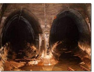 Лагерь дождевого червя (часть 1)