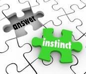 Инстинкт против логики
