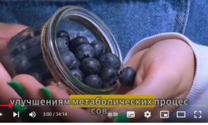 5 фруктов которые ДИАБЕТИКАМ НЕОБХОДИМО ЕСТЬ для снижения уровня сахара в крови | Доктор Иван Петров  Видео