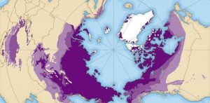 Есть ли живые существа, способные жить при отрицательной температуре тела?