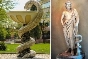 Почему змея на самом деле стала символом медицины и еще 4 вопроса, которые задает весь мир