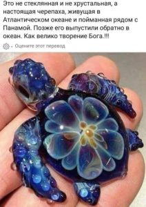 Танец волны на закате… | Водная фотография, Природа, Серфинг