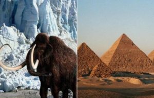 9 знакомых с детства фактов, которые оказались неправдой