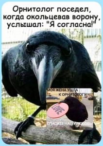 Меня бросает то в жир, то в голод.