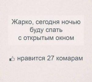 Убойный юмор для прекрасного начала дня. Поднимите себе настроение!