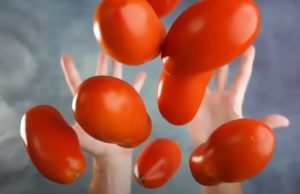 ПОЧЕМУ Об ЭТОМ МОЛЧАТ! Вот Что ТВОРИТ 1 ПОМИДОР с организмом.