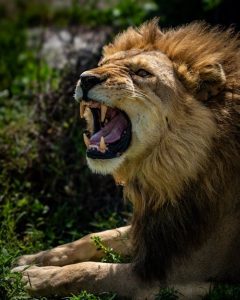 Эмиратский публицист Амджад Таха пишет сегодня: