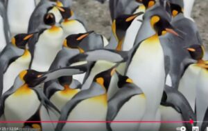 Новые тайны Антарктиды раскрыты — у тебя просто пропадёт дар речи!  Видео