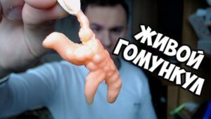 Гомункул на марше  Видео