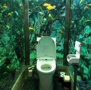 Японское кафе прославилось на весь мир туалетом в аквариуме  Видео