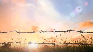 Холокост и санкции