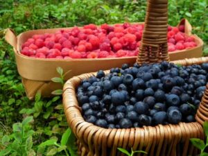 5 продуктов, которые усиливают умственные способности