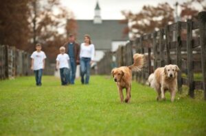 15 по-настоящему важных вещей, о которых постоянно забывают  Источник: 15 по-настоящему важных вещей, о которых постоянно забывают — Фактрум