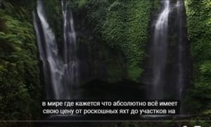Этого питомца не может позволить даже Илон Маск, только всмотритесь…  Видео