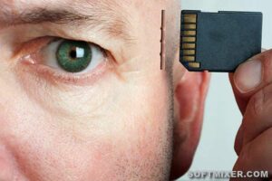 Пять загадок мозга