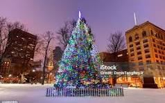 вторник, 30 марта 2021 г. Как оказались связаны бостонская рождественская ёлка и лечение врождённых пороков сердца  Как оказались связаны