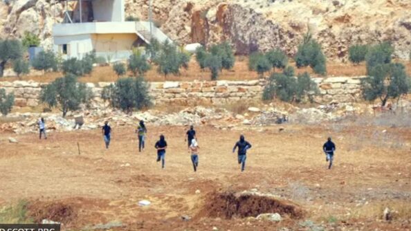 Журналисты Би-би-си стали свидетелями нападения израильских поселенцев на палестинскую ферму на Западном берегу