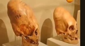 ЗАГАДКА ЧЕЛОВЕЧЕСТВА РАСКРЫТА ! КТО МЫ ?  Видео