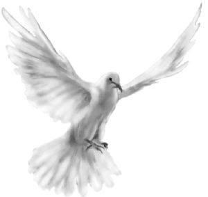 Правая или Левая, где сторона?