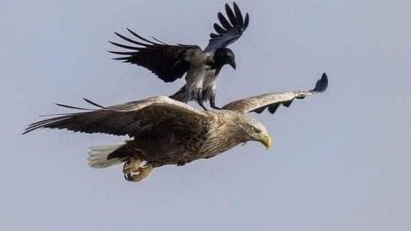 Устремляйся вперед, всё остальное отпадет само собой!