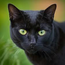 ЕЩЕ РАЗ ПРО ЛЮБОВЬ…