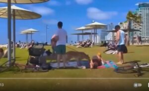 Самый дорогой город МИРА и страна БЕЗ конституции!  Что скрывает Израиль?  Видео