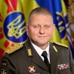 Портрет генерала Залужного  Видео