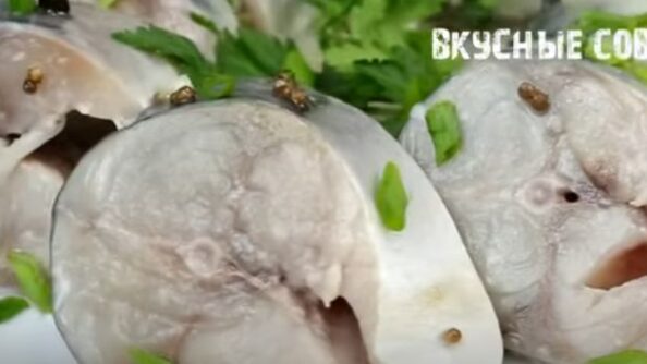 Лосось  ОТДЫХАЕТ !СКУМБРИЯ За 1 ночь "ХОЛОДНЫМ" СПОСОБОМ В МАРИНАДЕ! Слабосоленая и Нежная с ЛУКОМ  Видео