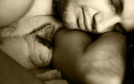 Слабости сильного пола