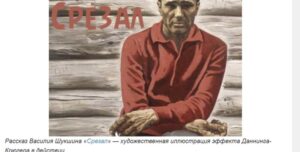 Почему деление на умных и глупых — само по себе глупость