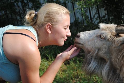 Любовь зла?…