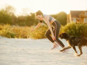Тренируем собаку с пользой для себя