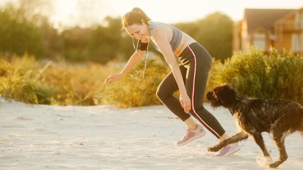 Тренируем собаку с пользой для себя