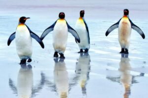 12 ответов на вопрос «Почему так?», которые нам постоянно лениво загуглить