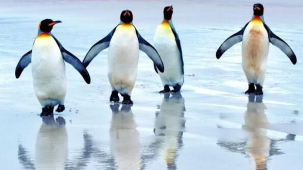 12 ответов на вопрос «Почему так?», которые нам постоянно лениво загуглить