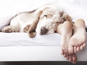 13 привычек, которые улучшат твою продуктивность и здоровье