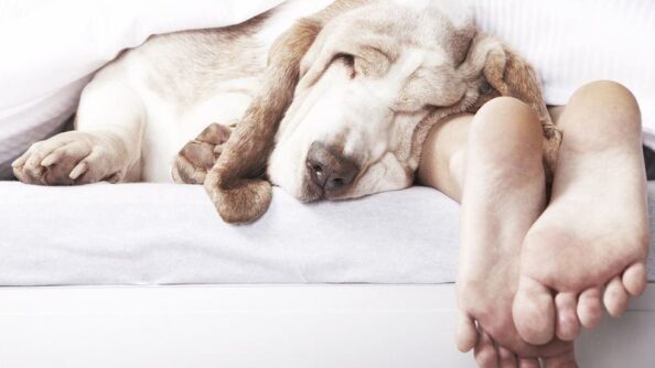 13 привычек, которые улучшат твою продуктивность и здоровье