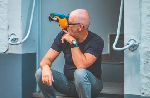 Роман в объявлениях