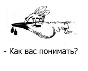 Кое-что о русском языке.