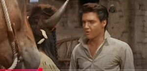 Элвис Пресли | Пылающая звезда (1960)  Видео