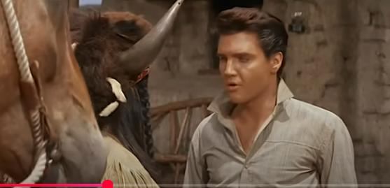 Элвис Пресли | Пылающая звезда (1960)  Видео