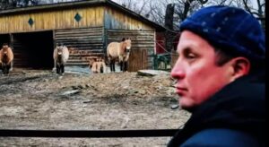 Украинский подросток придумал гениальный способ сбивать российские дроны  Видео