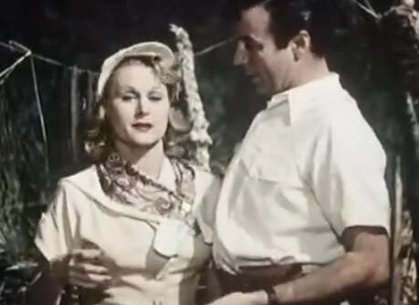 Королева чардаша . Марика Рек . Аналог фильма Сильва оперетта Калвина .  Видео