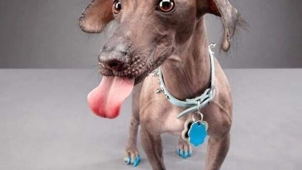 Самый короткий вопрос? Кому повезло?!