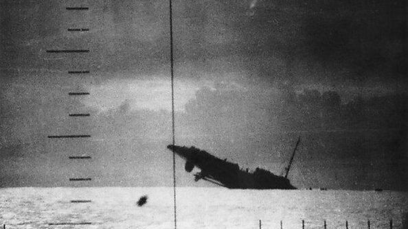 Тайное оружие англичан: зачем британские военные учили чаек гадить на подводные лодки