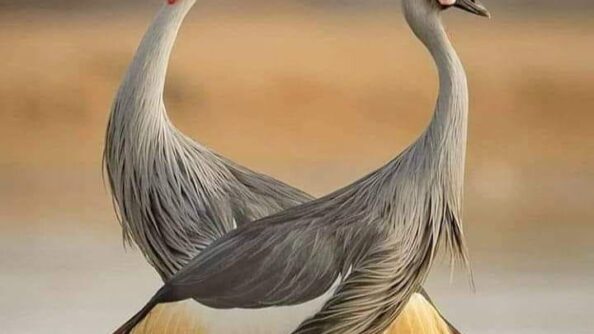 Я люблю Тебя…